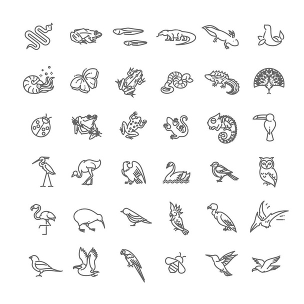 Line animals concepts, Icons set - Vetor, Imagem