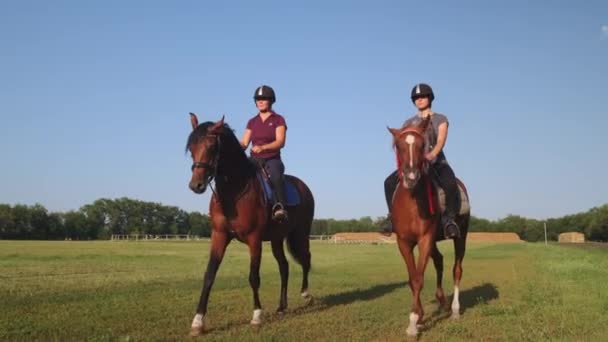 rijden paarden op paddock van boerderij, twee vrouwen zijn opleiding - Video