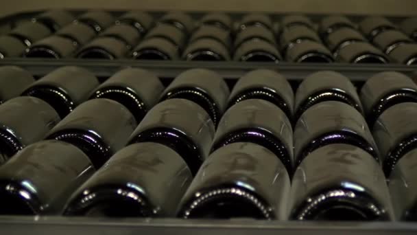 άδεια και σκονισμένα μπουκάλια κρασιού - Πλάνα, βίντεο