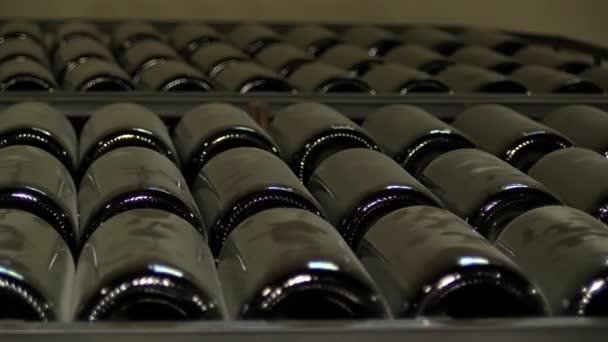 άδεια και σκονισμένα μπουκάλια κρασιού - Πλάνα, βίντεο