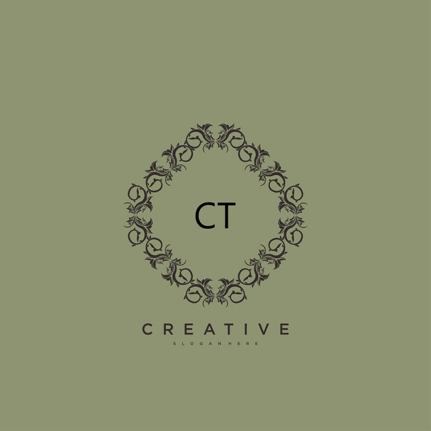 CT Beauty vektor počáteční logo umění, rukopis logo počáteční podpis, svatba, móda, židovské, butik, květinové a botanické s kreativní šablony pro každou firmu nebo podnikání. - Vektor, obrázek