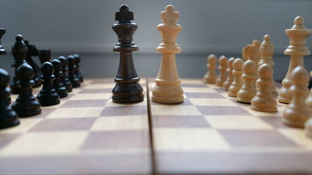 Два короля шахматной игры друг перед другом, с остальными фигурами позади. Лидерство и коммуникационные концепции - Фото, изображение
