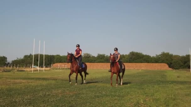 Due equestri donne che cavalcano cavalli alla pista di campagna - Filmati, video
