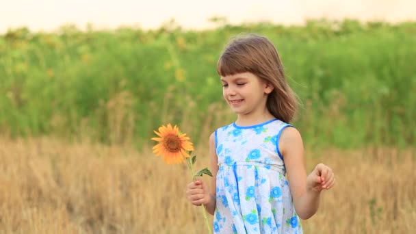 夏の野外でひまわりの花びらを引き裂く小さな子供の女の子.  - 映像、動画