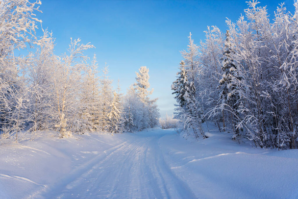 Zimní krajina s jasně modrou oblohou, slunečný zimní den. Autonomní oblast Yamalo-Nenets - Fotografie, Obrázek