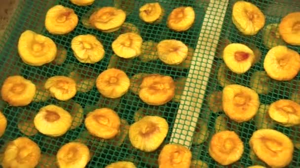 sweet dried fruit, peaches - Footage, Video
