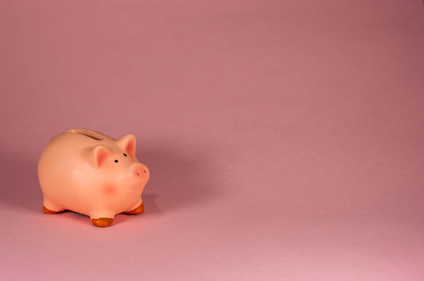 Piggy Bank rosa contra fondo rosa - Concepto de ahorro de dinero - Copiar el área del espacio - Foto, imagen