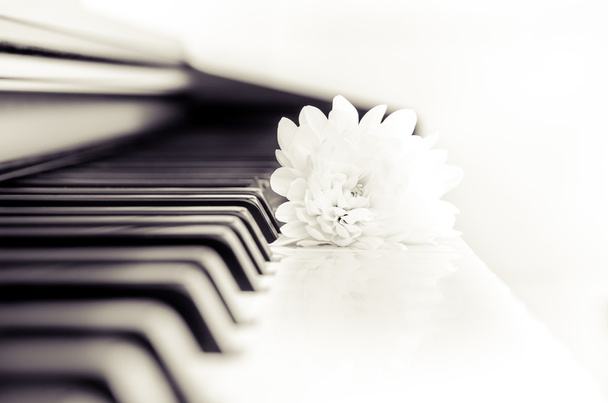 Close-up detail of piano keyboard and flower in monochrome - Photo, Image