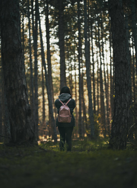 vrouw fotograferen in bos - Foto, afbeelding