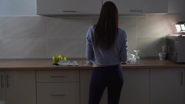 zadní pohled žena stojí doma v kuchyni u dřezu a umývá nádobí. kopírovat prostor - Záběry, video