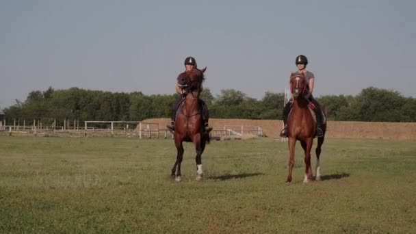 la gente está montando caballos en la granja y centro de equitación de entrenamiento - Metraje, vídeo