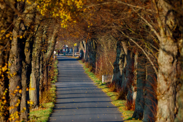 Sonbaharda bir ara sokak - Fotoğraf, Görsel
