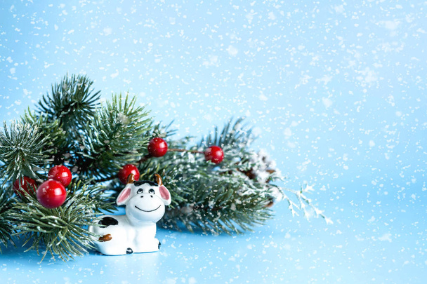 Bull symbool van het nieuwe jaar 2021. Keramiek beeldje van kleine witte stier met takken kerstboom op blauwe achtergrond. Kopieerruimte. - Foto, afbeelding