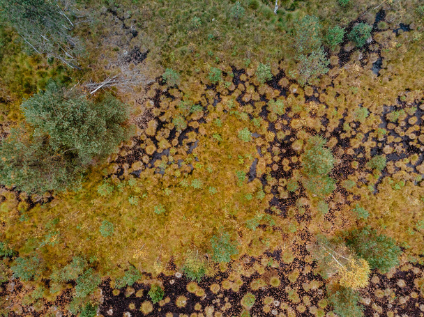 Вид с воздуха на торфяное болото с озером, зеленые оранжевые мхи в Национальном парке Сумава, Чешская республика.Красочный воздушный ландшафт. - Фото, изображение