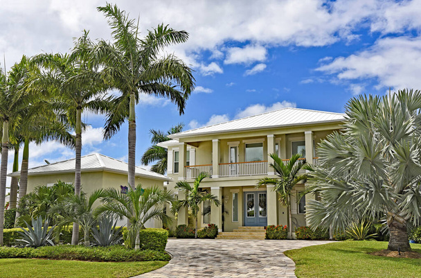 Groot nieuw strandhuis in Florida met palmbomen en landschapsarchitectuur - Foto, afbeelding