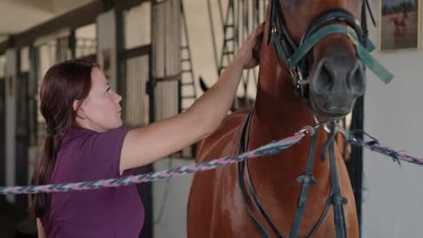 donna sposo è governare cavallo in stalla in fattoria - Filmati, video