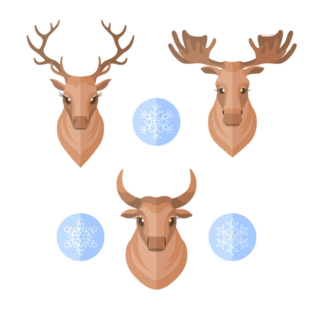 Deer, moose and bull head front view. - Vector, Image