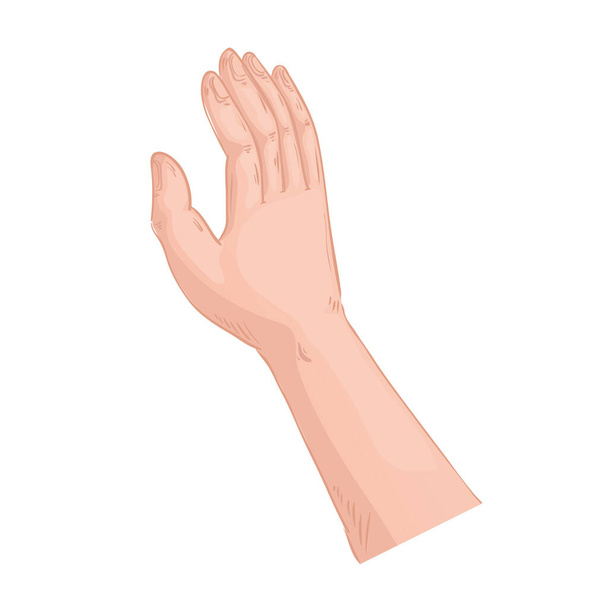 kéz emberi stop szimbólum izolált ikon - Vektor, kép