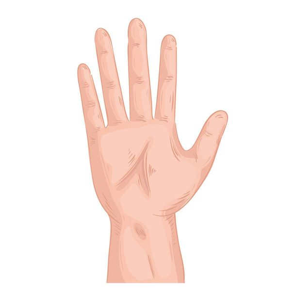 hand human stop symbol isolated icon - Vector, Image