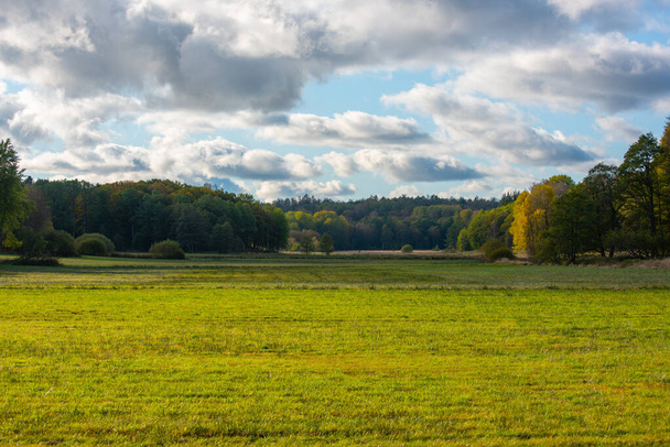 Green farm fields between forests at fall. - Fotoğraf, Görsel
