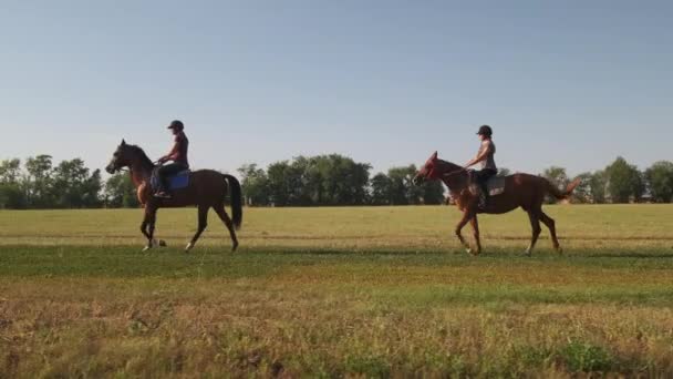 Dvě jezdkyně jezdí na koních po pastvinách - Záběry, video