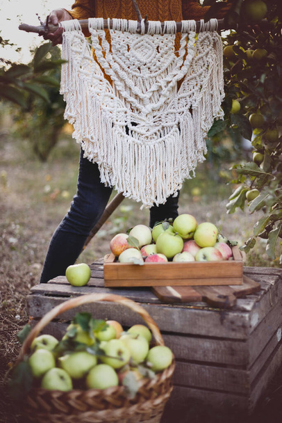 creation of a panel from macrame. girl with macram panel in the apple orchar - Foto, imagen