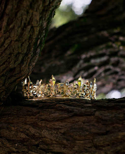 Corona antigua de lujo real, accesorios de boda - Foto, imagen