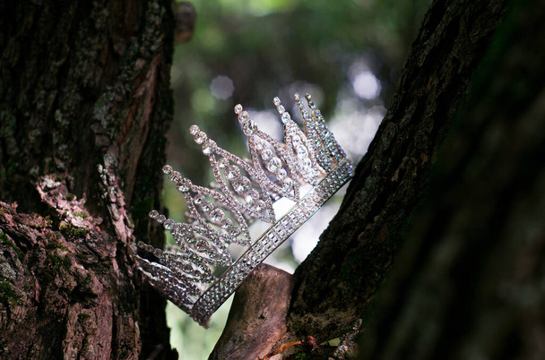 Corona antigua de lujo real, accesorios de boda - Foto, Imagen