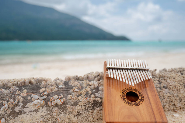 Kalimba of mbira is een Afrikaans muziekinstrument. Kalimba gemaakt van houten plank met metaal en spelen op handen en plukken van de tanden met de duimen. Traditie Zimbabwe muziekinstrument.  - Foto, afbeelding