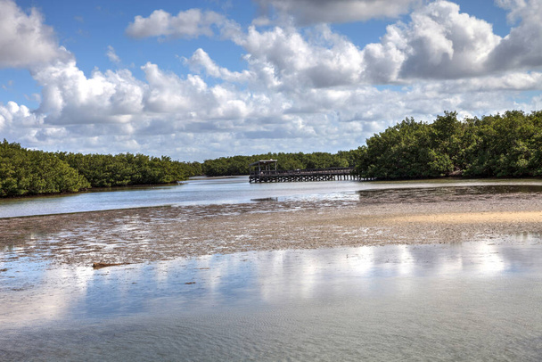 Fort Myers, Florida 'daki mangrovlarla çevrili Aşıklar Eyalet Parkı' ndaki Waterway 'de balıkçı iskelesi. - Fotoğraf, Görsel