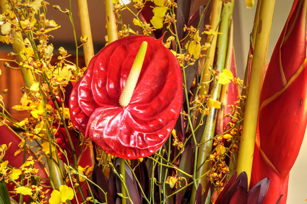 Bouquet tropical de fleurs comprenant Heliconia bihai, orchidées d'oncidium jaune, protea jaune de coussin d'épingle, et anthuriums rouges. - Photo, image