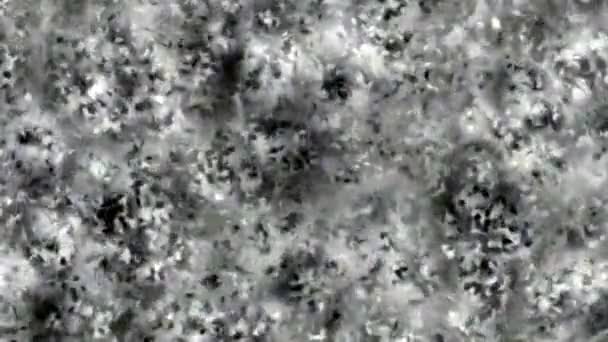Interessante Ebenen von grauem Rauschen abgerundet weiche bewegte zufällige Formen - Filmmaterial, Video