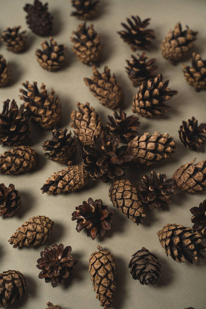 Christmas picture with fir cones on a gentle background. Beautifully laid out items - Foto, Imagem