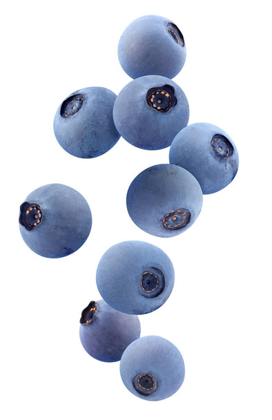 falling blueberries isolated on a white background with clipping path. forest berries in the air. - 写真・画像