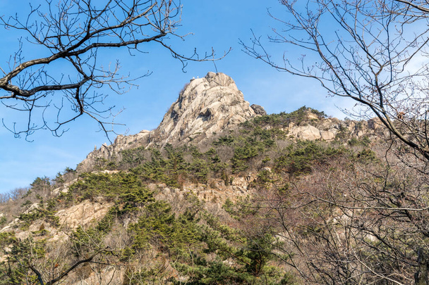 Κοιλάδα με βράχους, μαραμένο δέντρο στο εθνικό πάρκο του βουνού Bukhansan κατά τη χειμερινή περίοδο στη Σεούλ της Νότιας Κορέας - Φωτογραφία, εικόνα