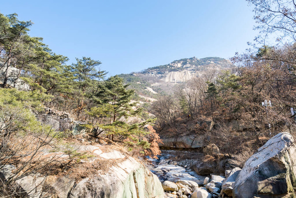 Vrchol národního parku Bukhansan s kameny, sněhem a mrtvými stromy na jaře v Soulu v Jižní Koreji. - Fotografie, Obrázek