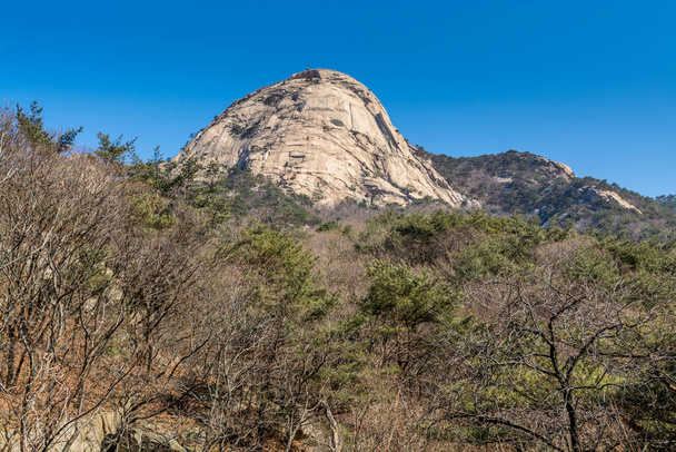 韓国のソウルで春に岩、雪、枯れ木がある北漢山国立公園のピーク. - 写真・画像