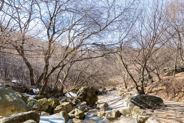 Vallée rocheuse, arbre desséché dans le parc national de la montagne Bukhansan en hiver à Séoul en Corée du Sud - Photo, image