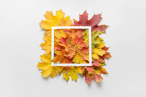 Beyaz arkaplanda yaprakları ve boş çerçevesi olan güzel sonbahar kompozisyonu - Fotoğraf, Görsel