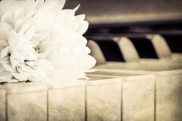 ピアノ キーボードとモノクロ ヴィンテージルックの花のクローズ アップ - 写真・画像