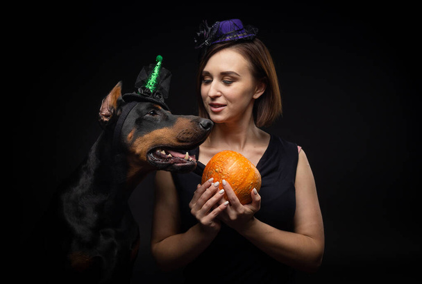 Portrait of a Doberman dog with a girl owner. In carnival costumes with a pumpkin. Isolated Studio photo on a black background. - Photo, Image