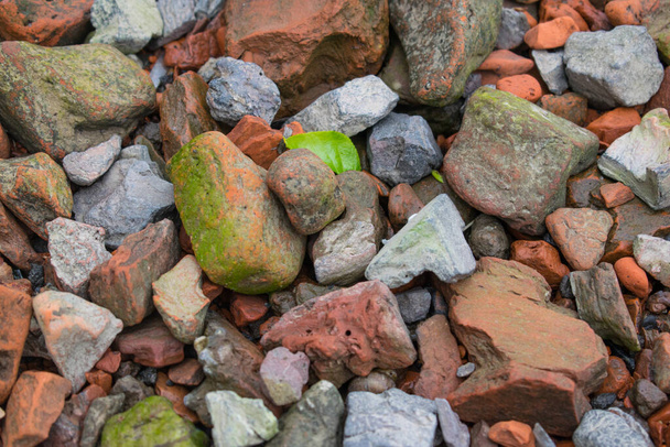 red stones close up lying on the ground - Φωτογραφία, εικόνα