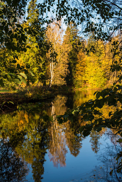 autumn trees reflected in water - Photo, image