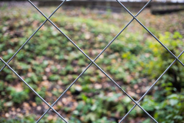 забор из колючей проволоки на фоне осеннего парка - Фото, изображение