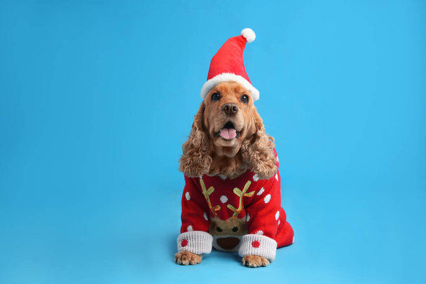 Adorable Cocker Spaniel in Christmas sweater and Santa hat on light blue background - Foto, Imagen