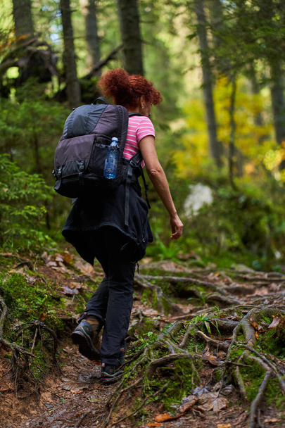 Active woman with backpack hiking on a trail through the forest - Foto, imagen