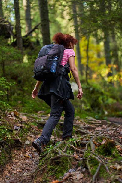 Active woman with backpack hiking on a trail through the forest - Fotoğraf, Görsel