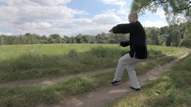 Wushu, ο άνθρωπος κινείται ομαλά στη συνέχεια χτυπά απότομα με το χέρι του - Πλάνα, βίντεο