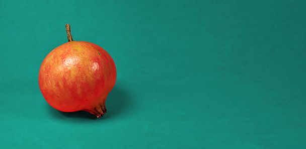 Ripe pomegranate fruit of the mollar variety on a plain red background - 写真・画像