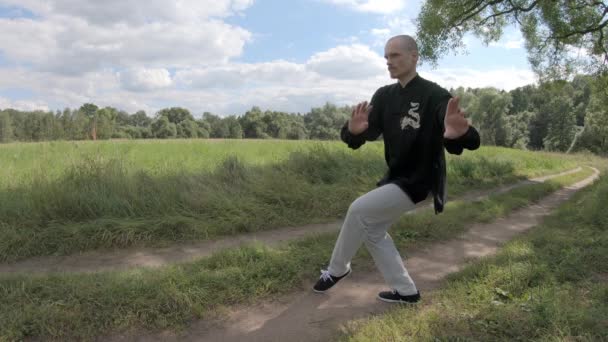 Kung fu lohikäärmeen tyyliin. Eurooppalainen mies harjoittaa kamppailulajeja - Materiaali, video